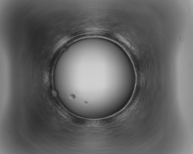 X0000116621259200912181258