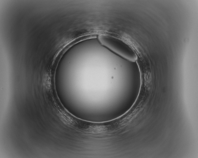 X0000116621260200912181258