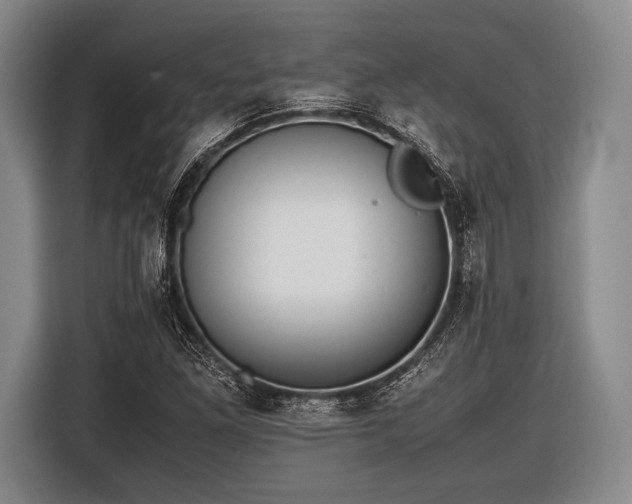 X0000116621261200912181258