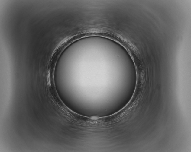 X0000116621262200912181258