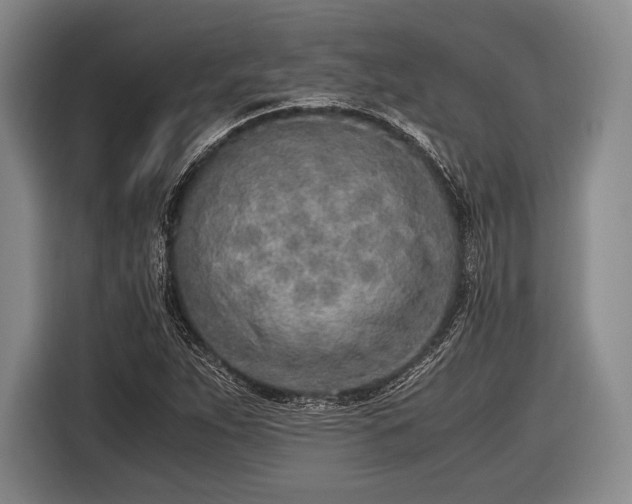 X0000116621263200912181258