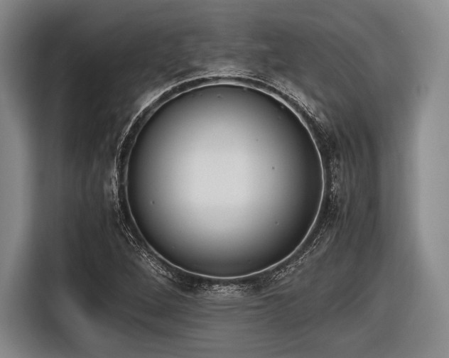 X0000116621264200912181258