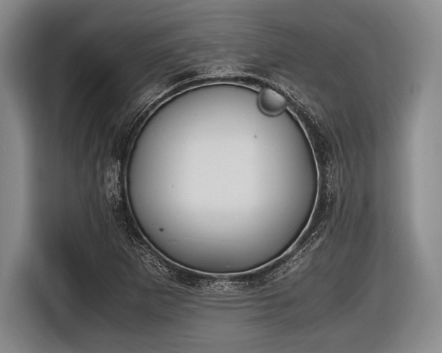X0000116621265200912181258