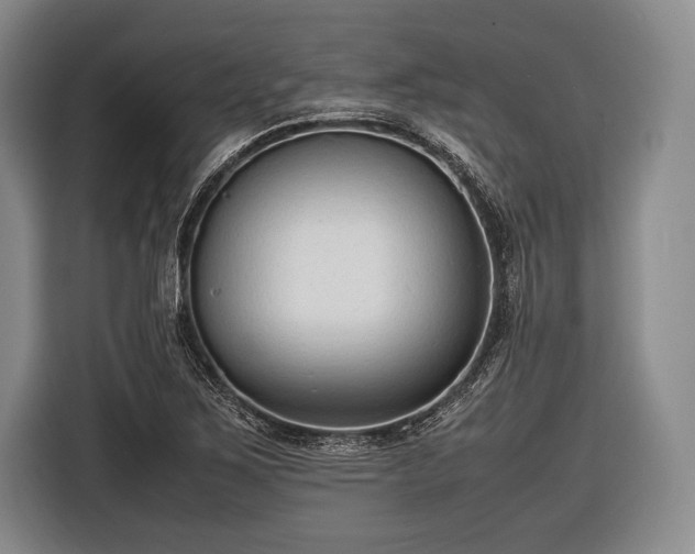 X0000116621267200912181258