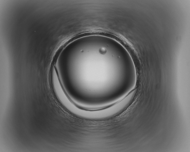 X0000116621269200912181258