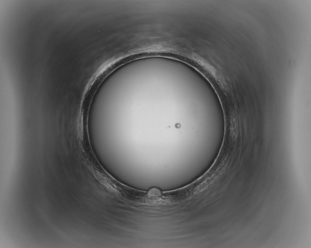 X0000116621270200912181258