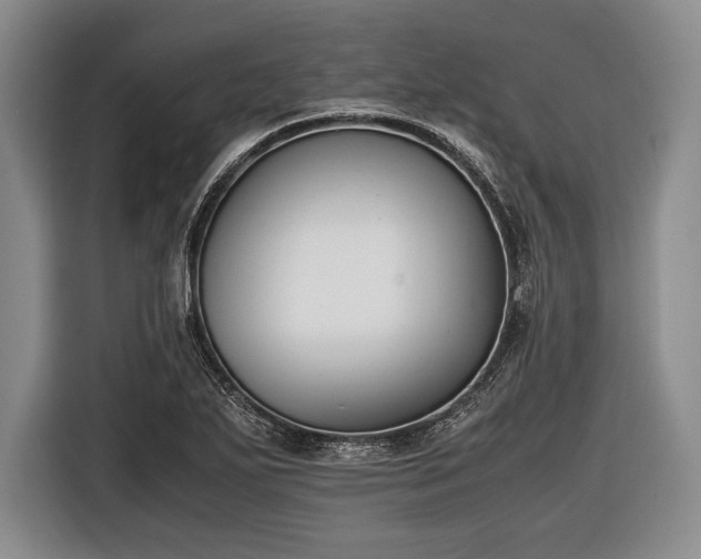 X0000116621271200912181258