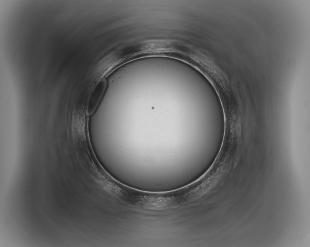 X0000116621273200912181258