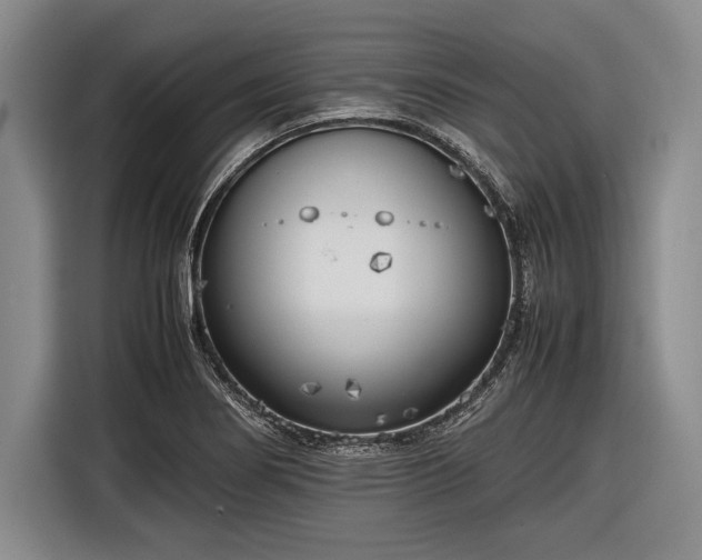 X0000116621274200912181258