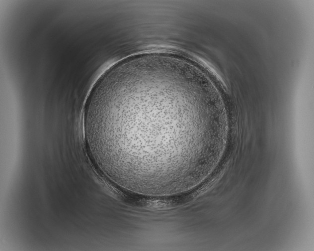 X0000116621275200912181258