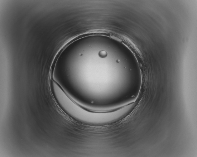 X0000116621276200912181257