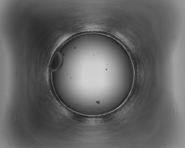 X0000116621277200912181257