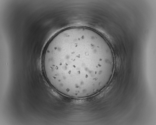 X0000116621278200912181257