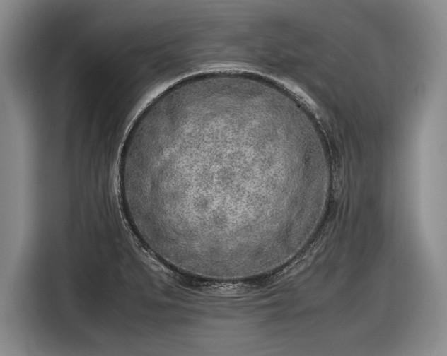 X0000116621279200912181257