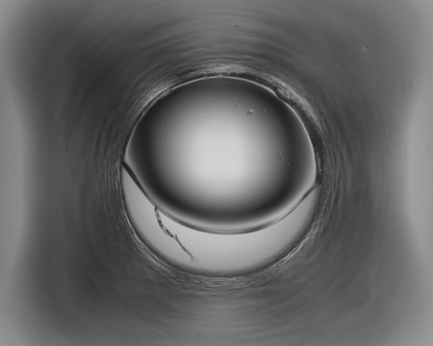 X0000116621281200912181257
