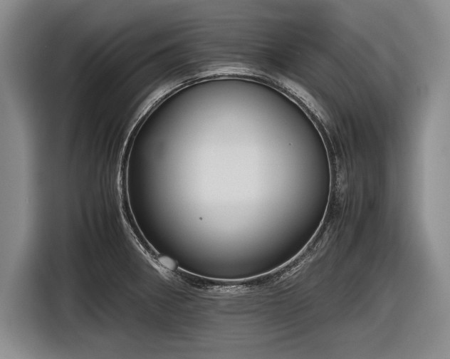 X0000116621282200912181257