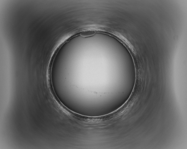 X0000116621285200912181257