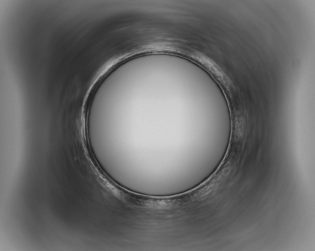 X0000116621286200912181257