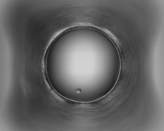 X0000116621287200912181257