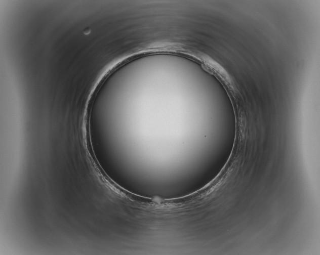 X0000116621288200912181257