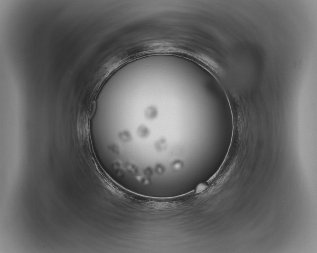 X0000116621289200912181257