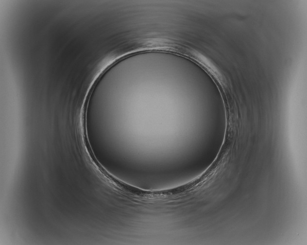 X0000116621291200912181257