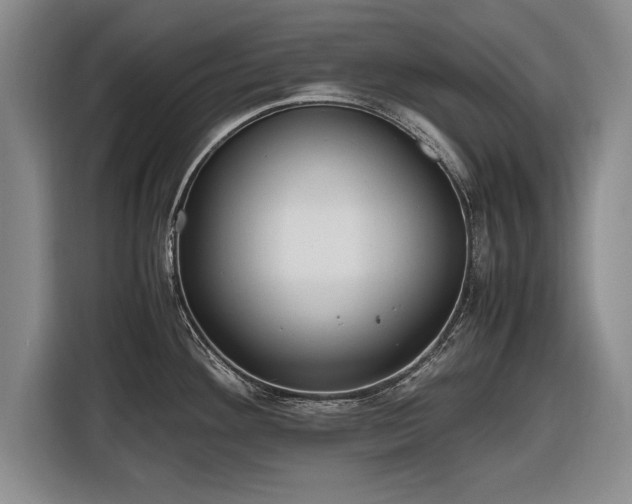 X0000116621292200912181257