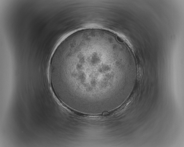 X0000116621295200912181257