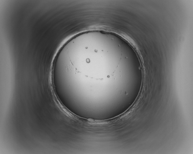 X0000116621296200912181257