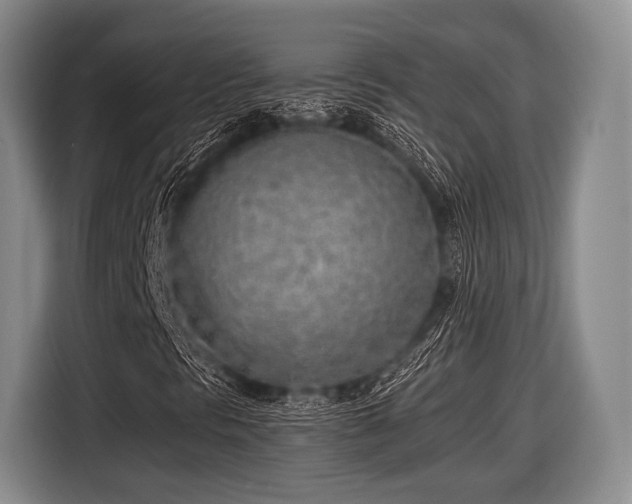 X0000116621297200912181257
