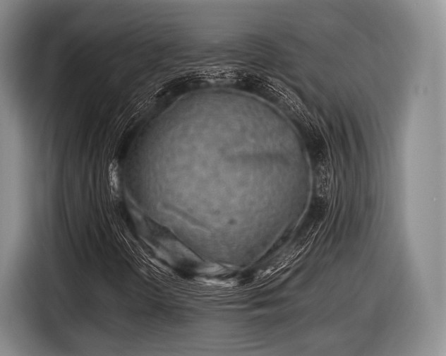 X0000116621298200912181257