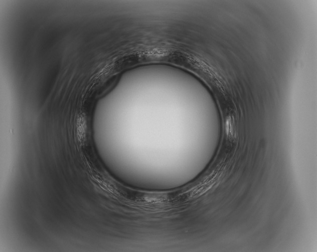 X0000116621299200912181257