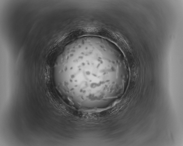 X0000116621301200912181257
