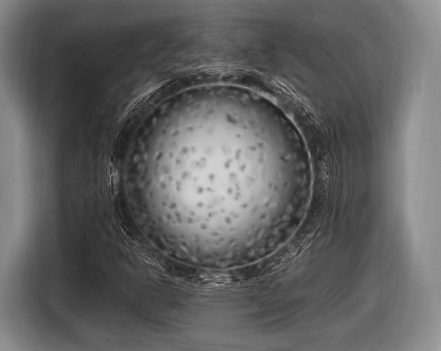 X0000116621302200912181257