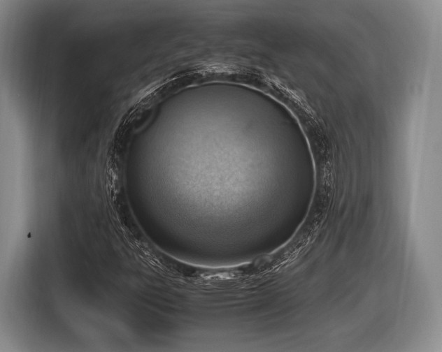 X0000116621303200912181257