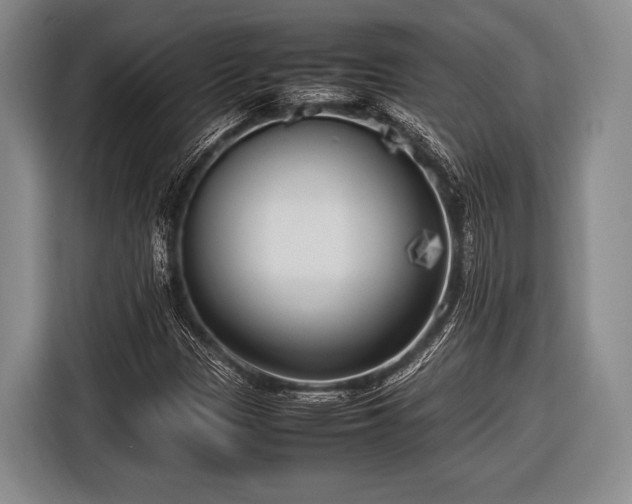 X0000116621305200912181257