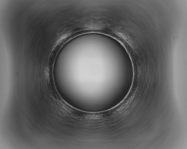X0000116621307200912181257