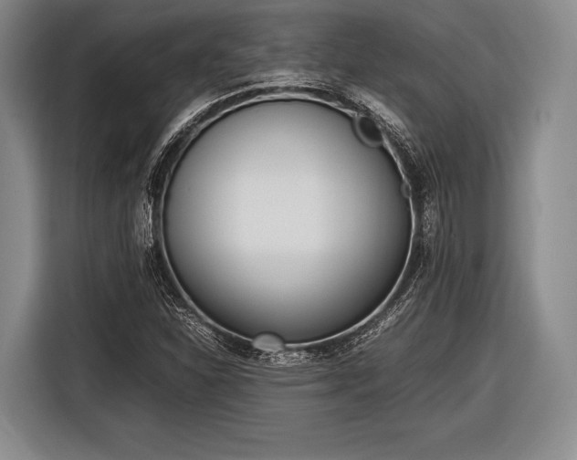 X0000116621310200912181257