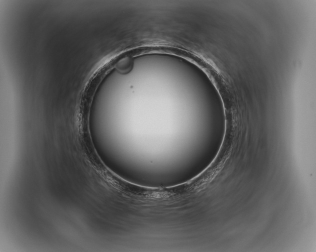 X0000116621311200912181257