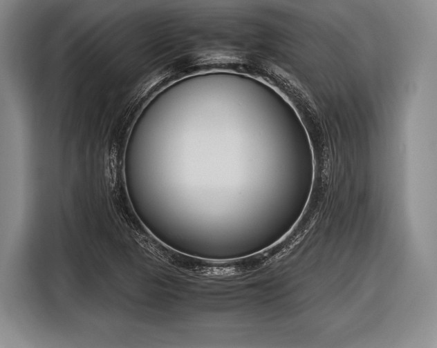 X0000116621313200912181257