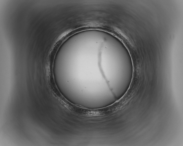 X0000116621315200912181257