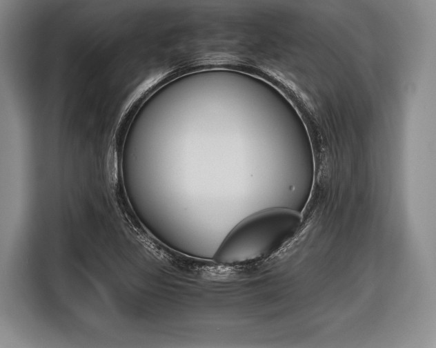 X0000116621317200912181257