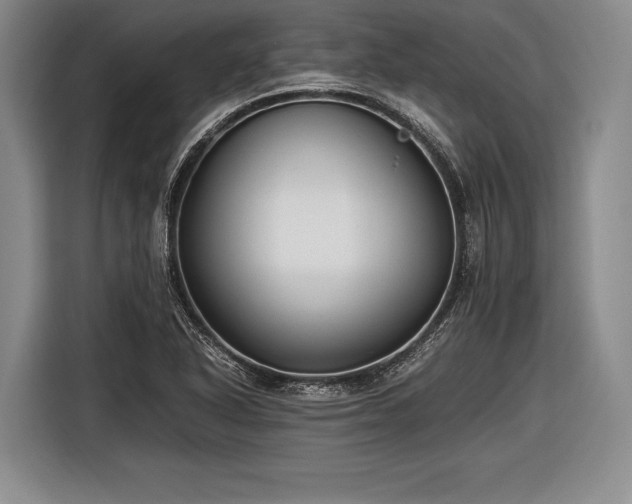 X0000116621318200912181257