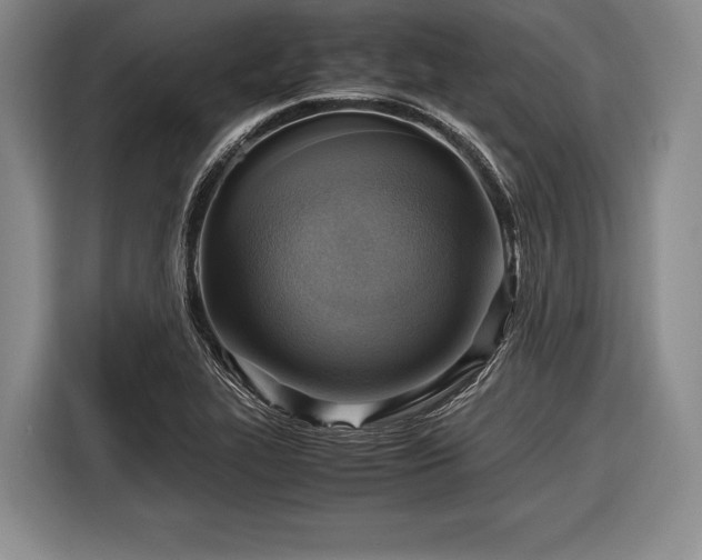 X0000116621319200912181257