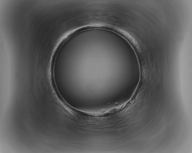 X0000116621327200912181257