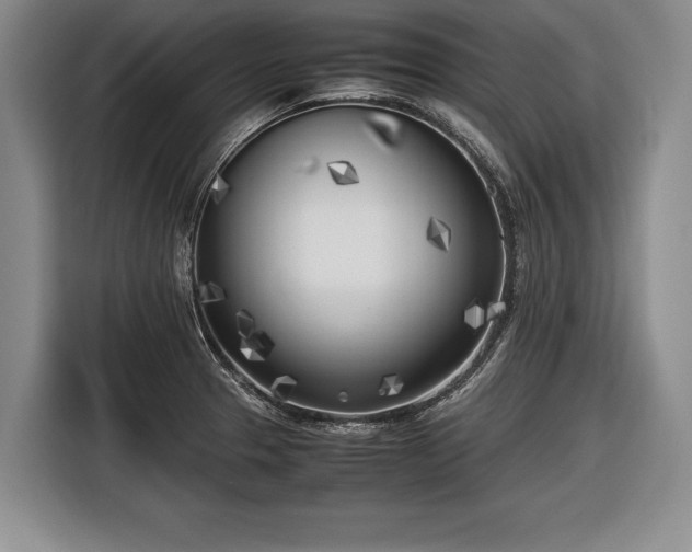 X0000116621329200912181257