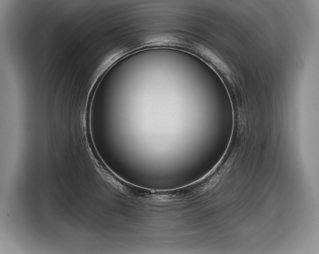 X0000116621330200912181257