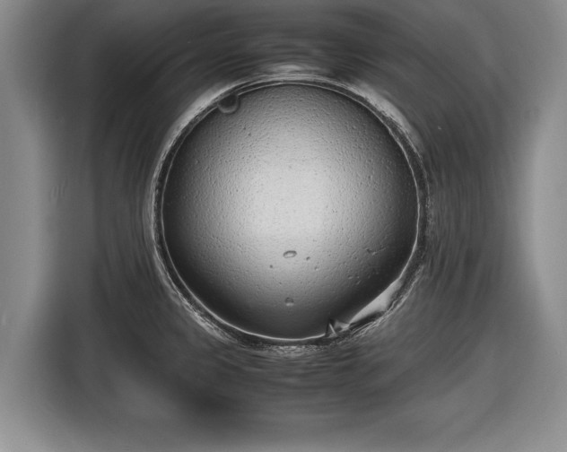 X0000116621333200912181257