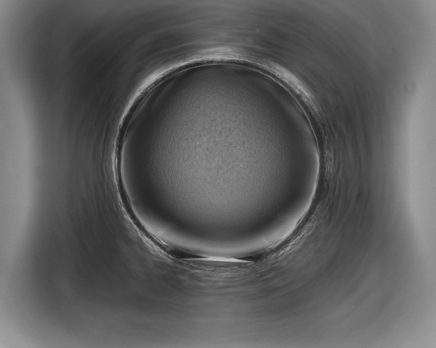 X0000116621334200912181257