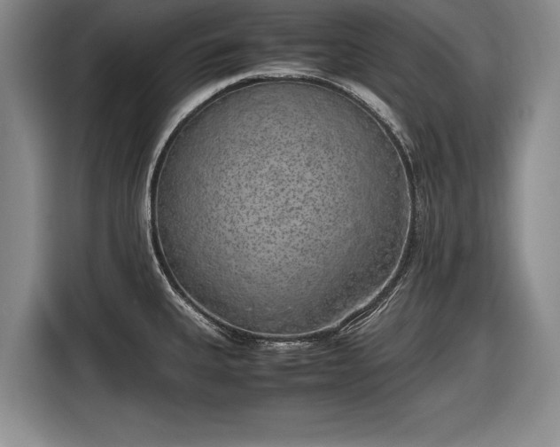 X0000116621335200912181257